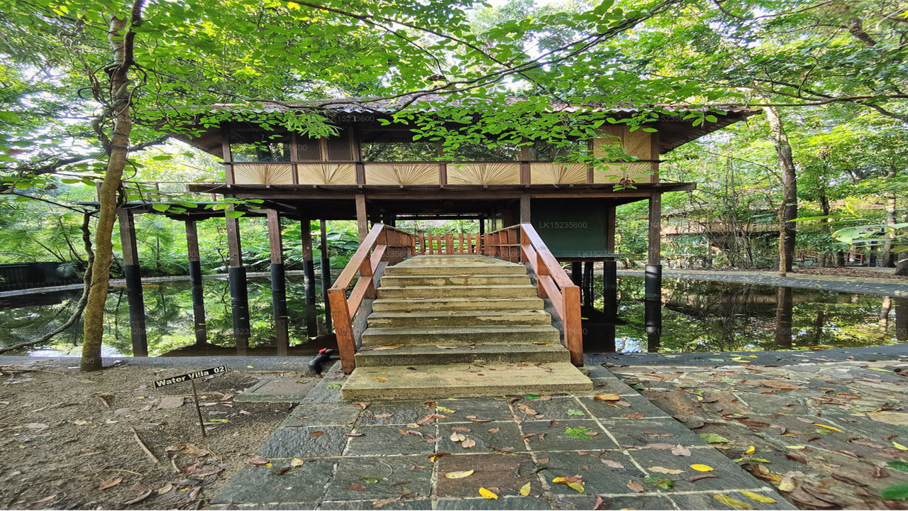 Diyabubula, das Barberyn Art &amp; Jungle Hideaway, Dambulla