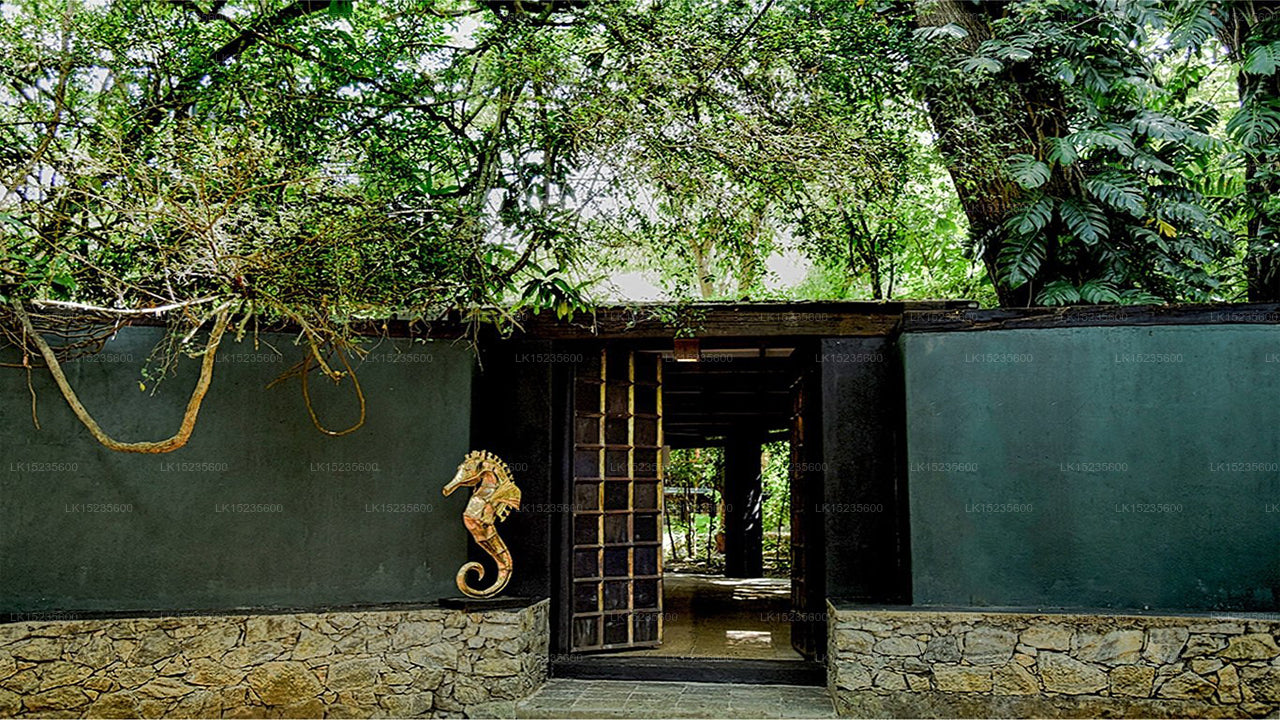 Diyabubula, das Barberyn Art &amp; Jungle Hideaway, Dambulla
