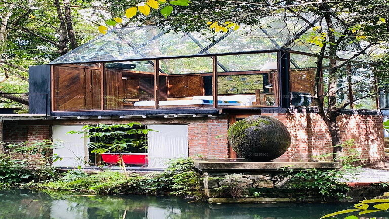 Diyabubula, das Barberyn Art &amp; Jungle Hideaway, Dambulla