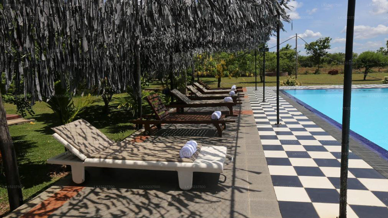 Öko-Hotel Black &amp; White, Anuradhapura