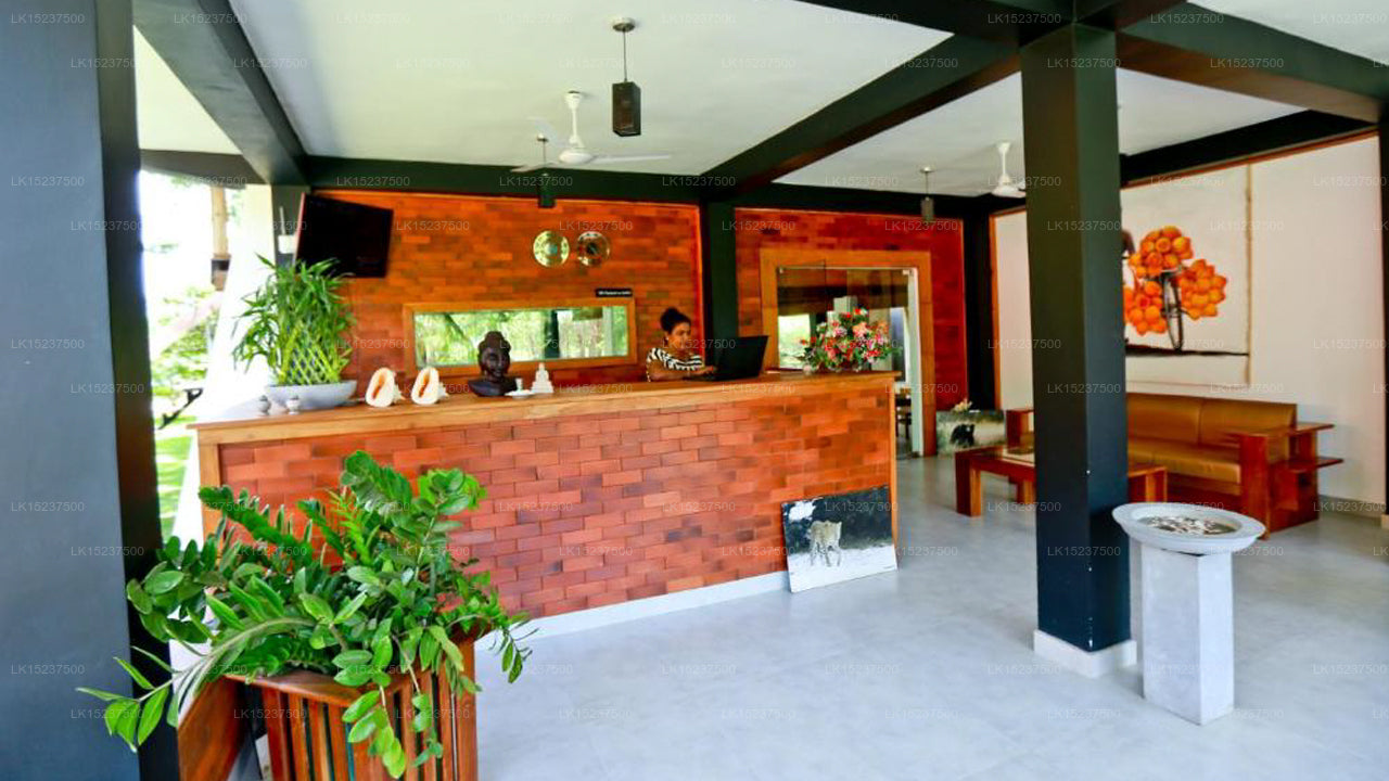 Öko-Hotel Black &amp; White, Anuradhapura