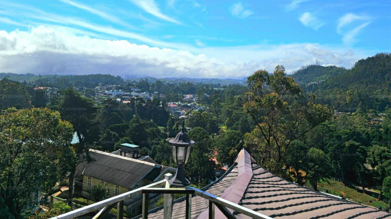 Chez Allen, Nuwara Eliya 