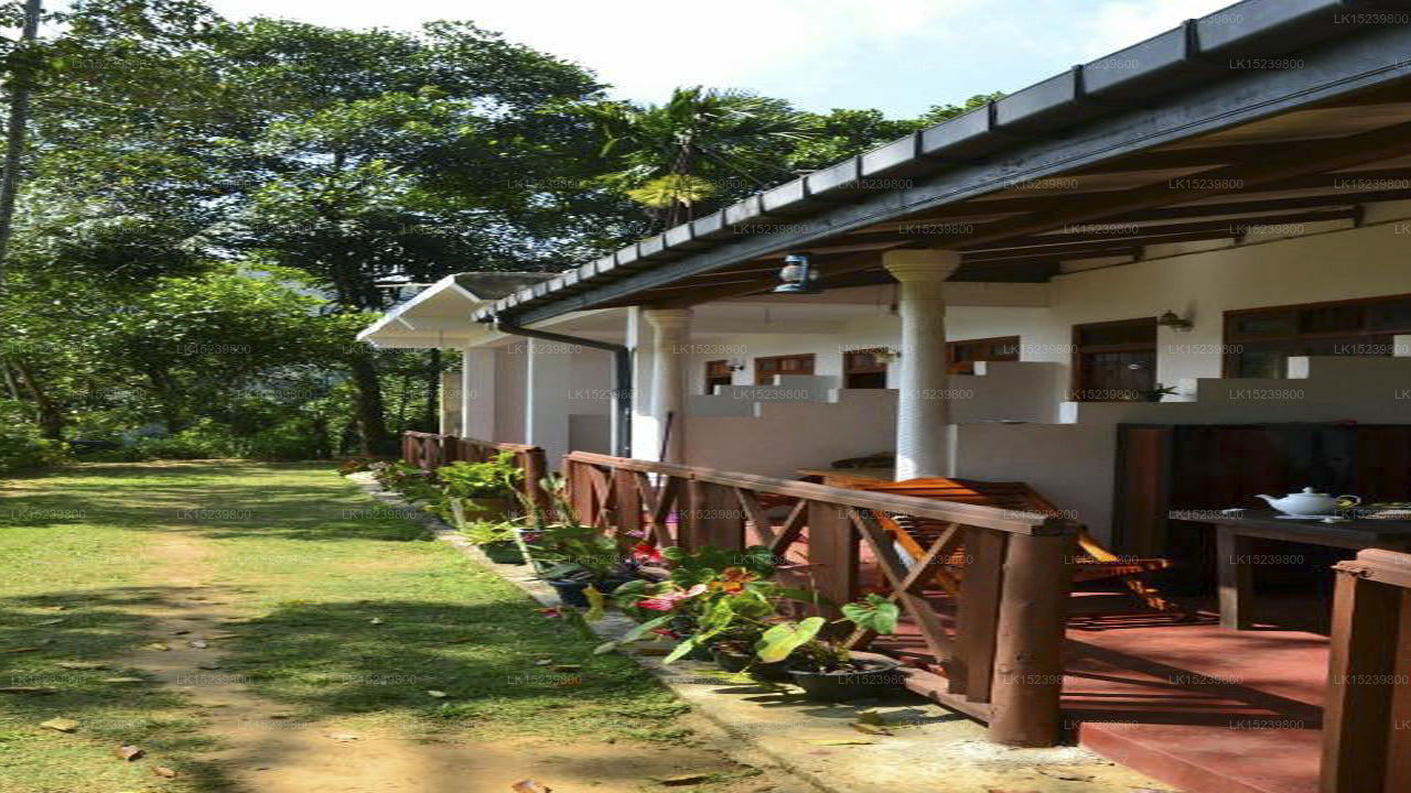 Ella Infinity View, Ella 