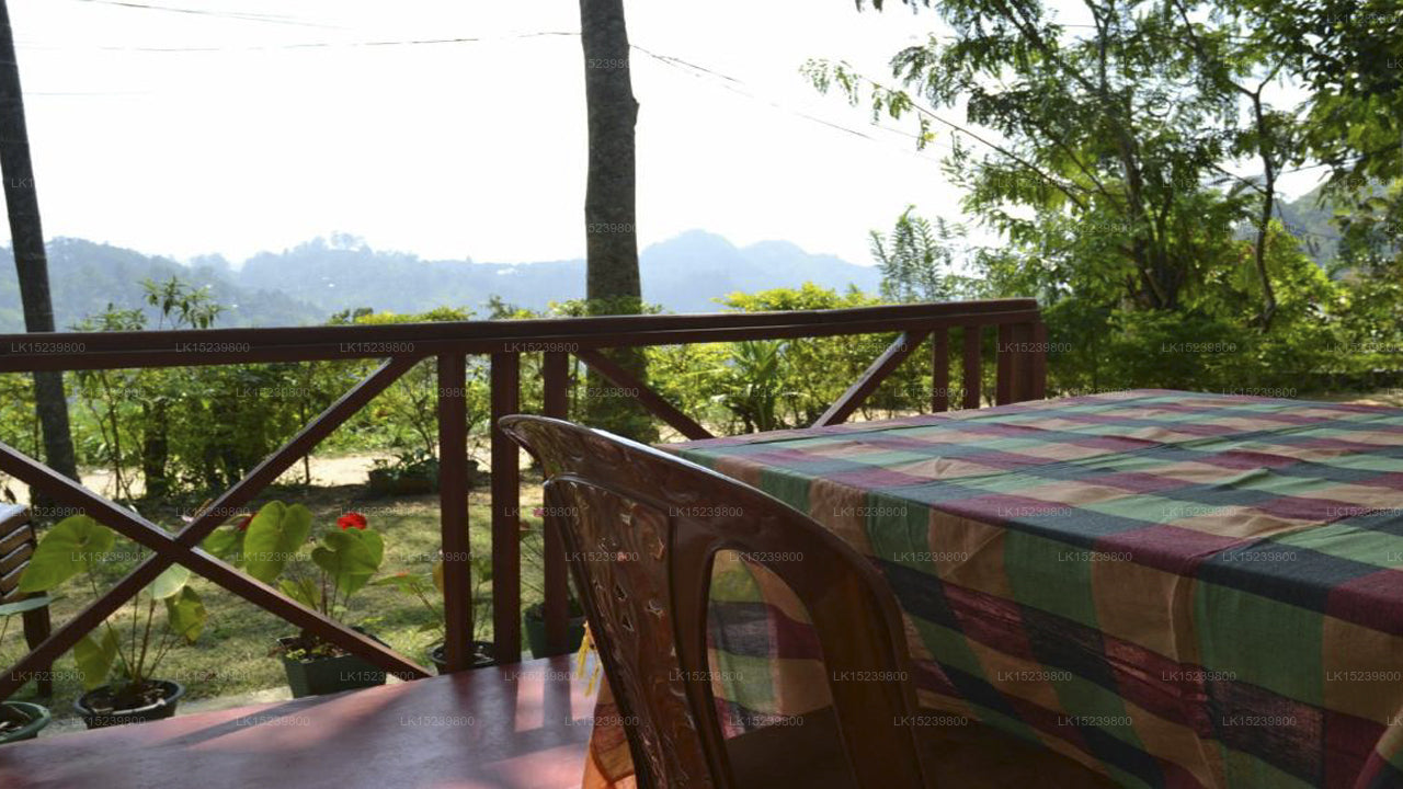 Ella Infinity View, Ella 