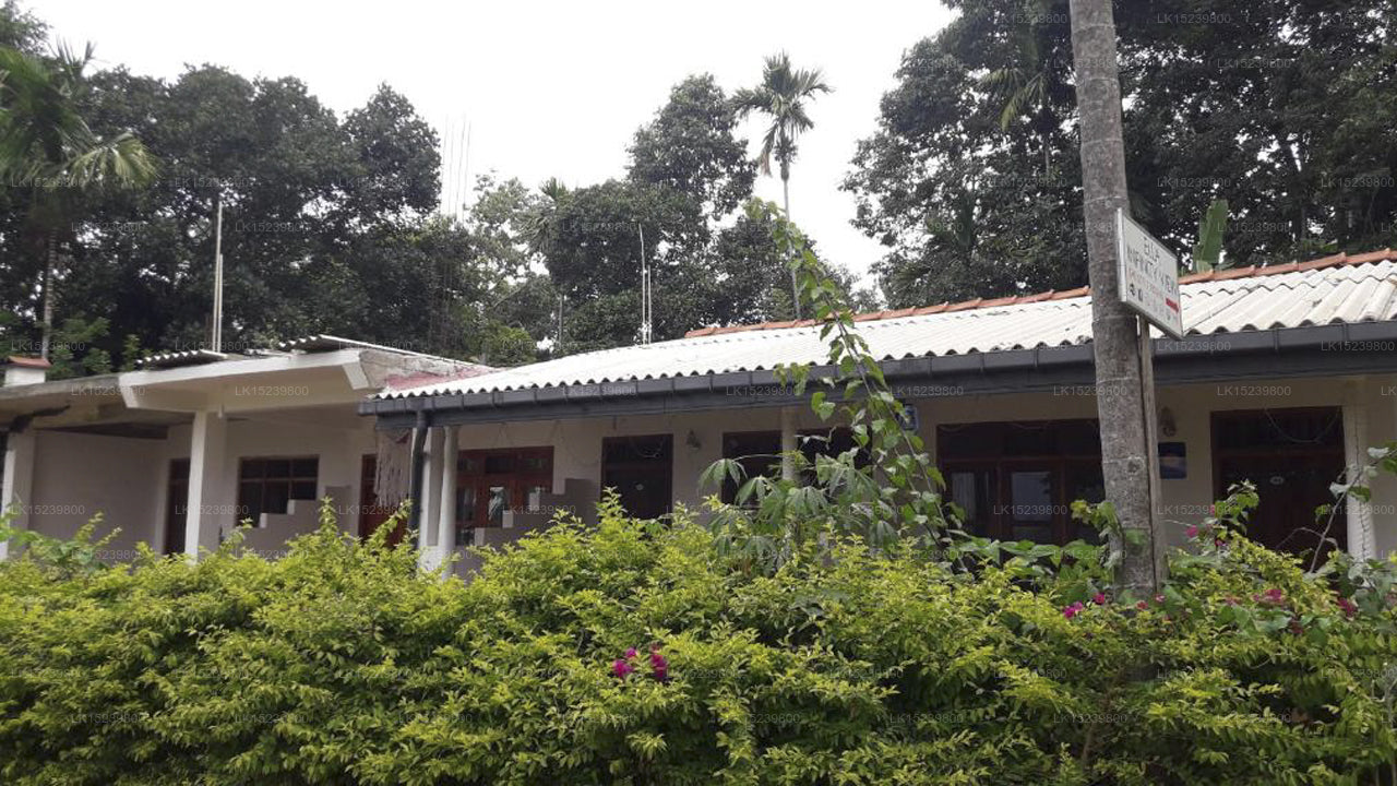 Ella Infinity View, Ella 