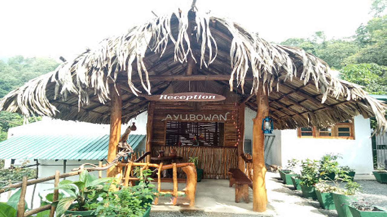 Ella Wildlife Village, Ella 