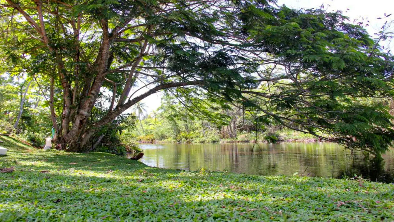 Devi Canal Resorts &amp; Spa, Bentota 