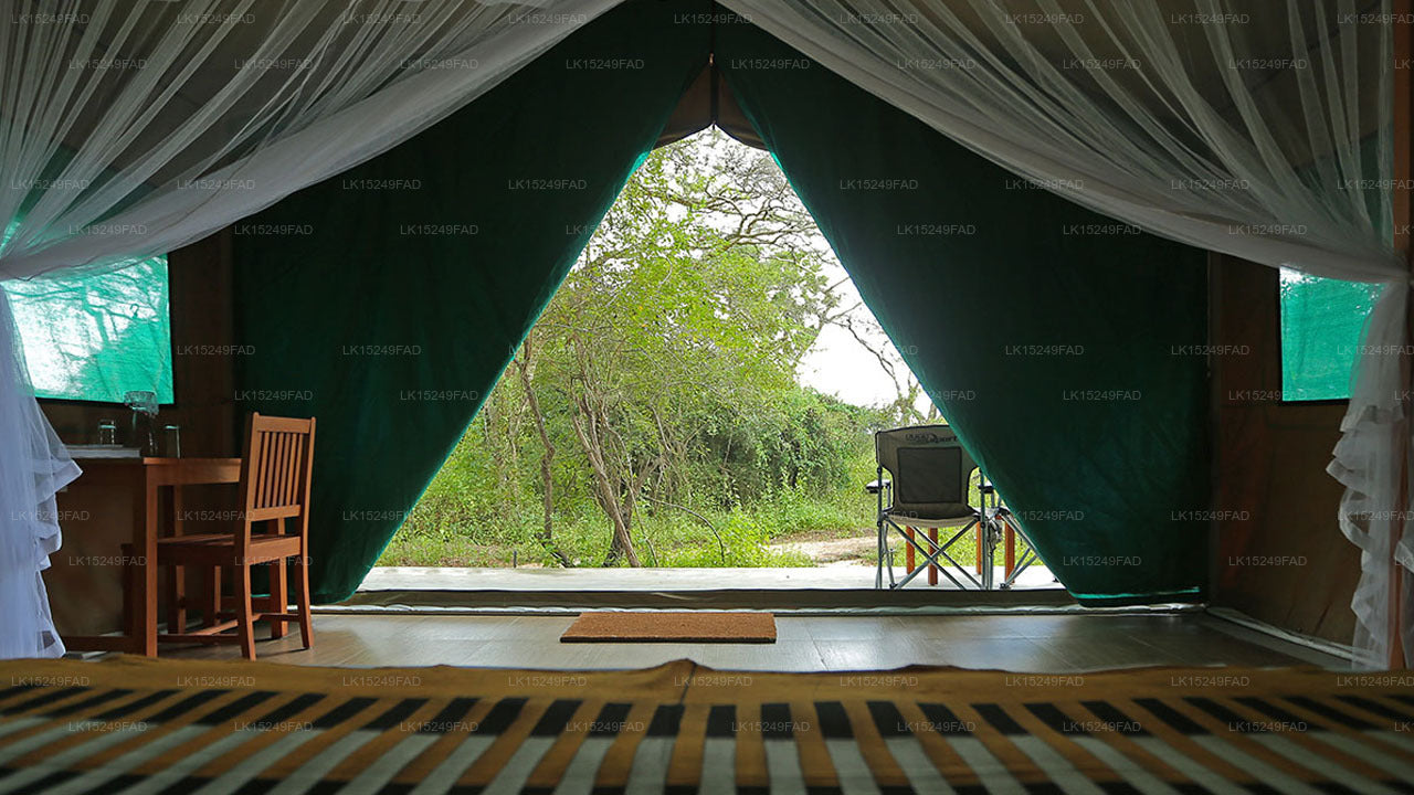 Wilpattu Safaricamp, Wilpattu