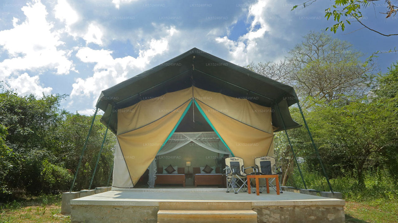 Wilpattu Safaricamp, Wilpattu