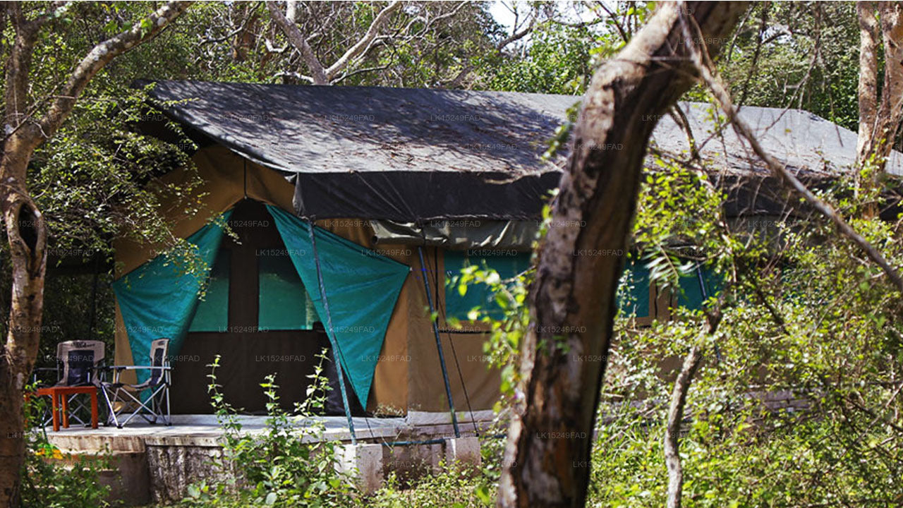 Wilpattu Safaricamp, Wilpattu