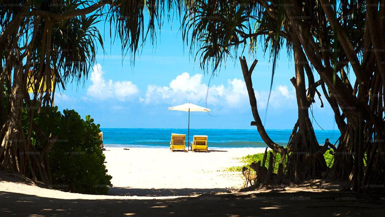 Palm Beach Inn &amp; Sea Shells Cabanas, A2, Bentota