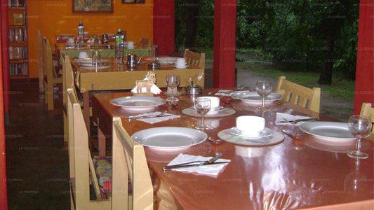 Das Nest, Mahiyanganaya