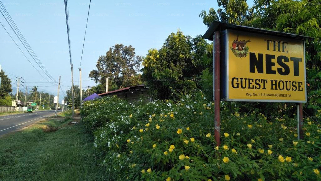 Das Nest, Mahiyanganaya