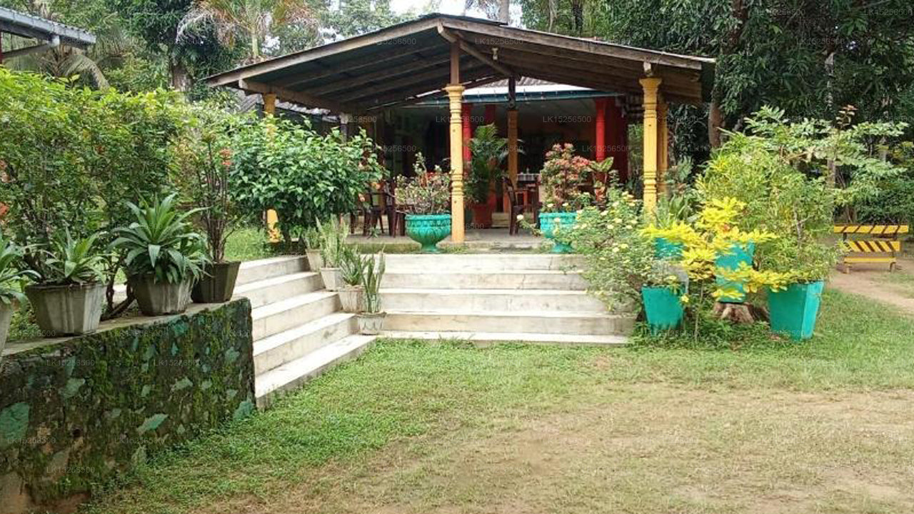 Das Nest, Mahiyanganaya