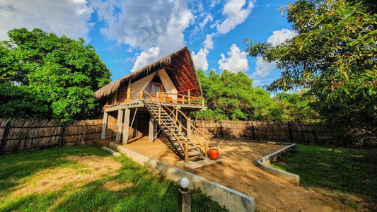 Thamaravila, Wilpattu