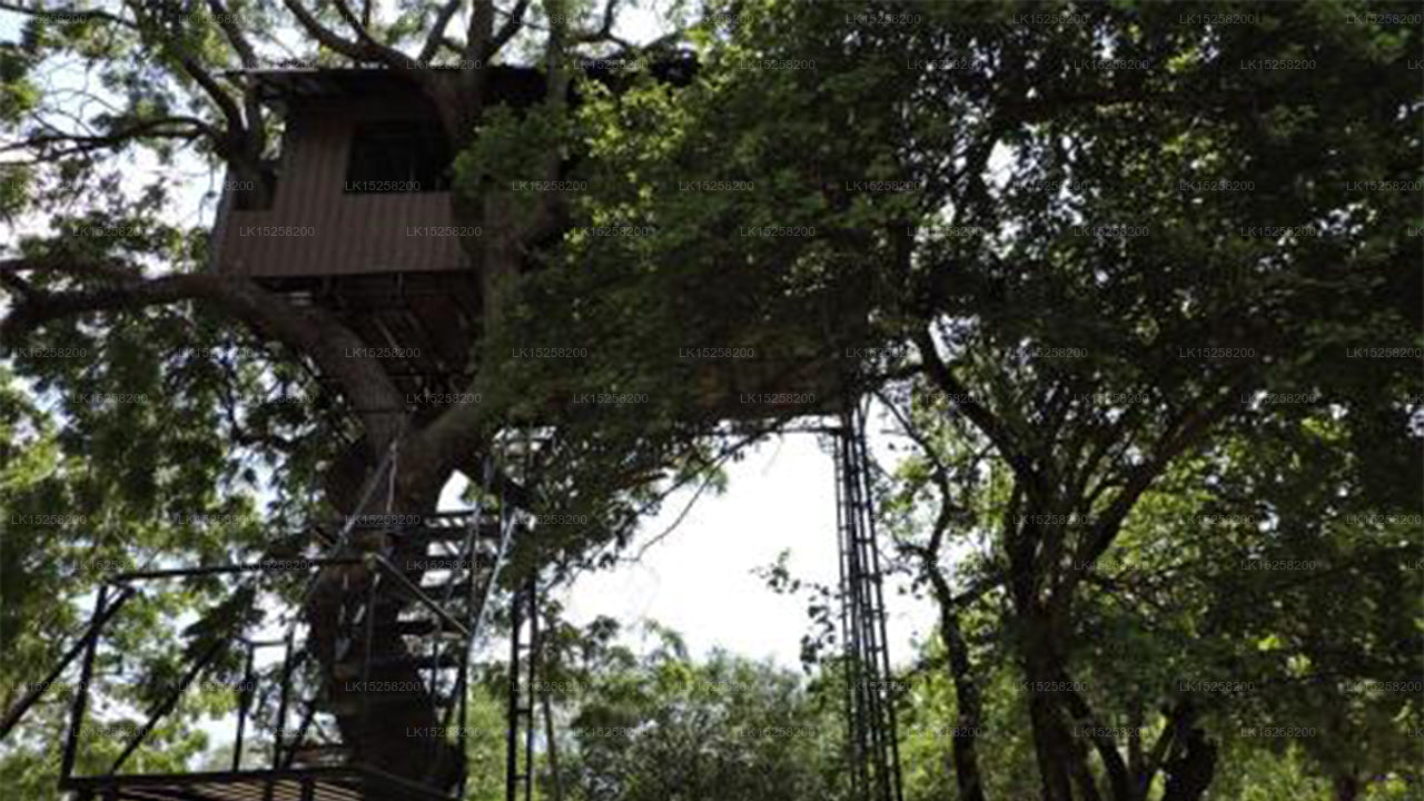 Kakunawela Ferienresort, Kataragama