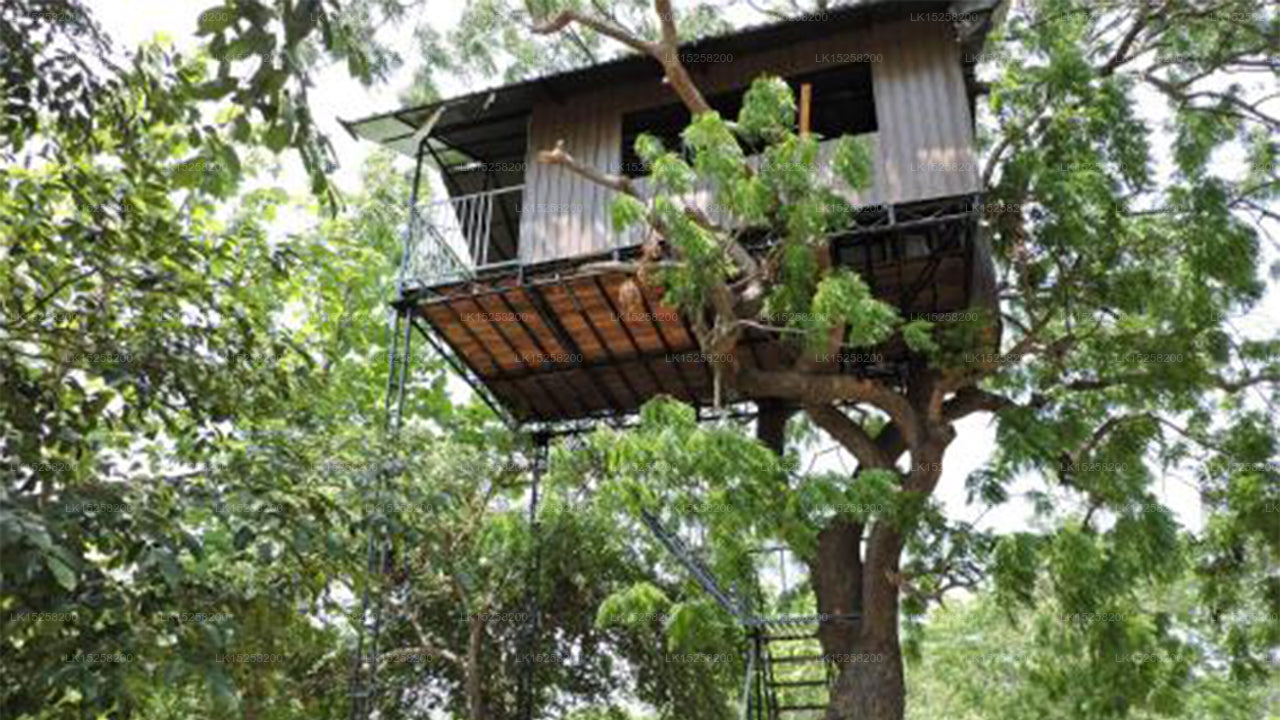 Kakunawela Ferienresort, Kataragama