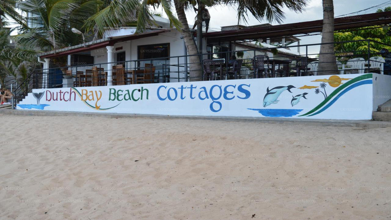 Dutch Bay Beach Cottages, Trincomalee 