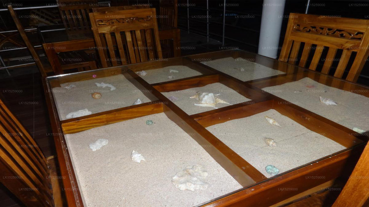 Dutch Bay Beach Cottages, Trincomalee 