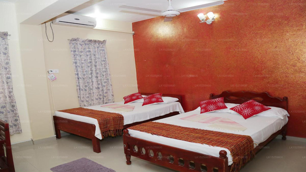 Deichruhe, Trincomalee 