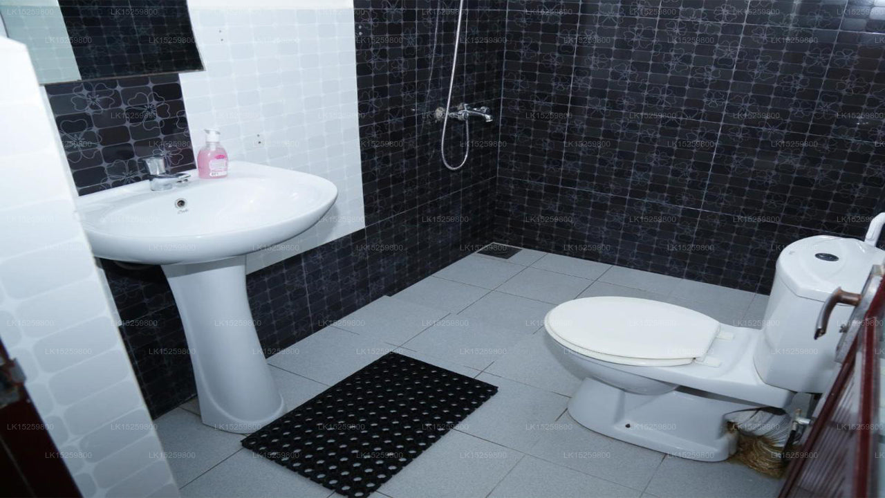 Deichruhe, Trincomalee 