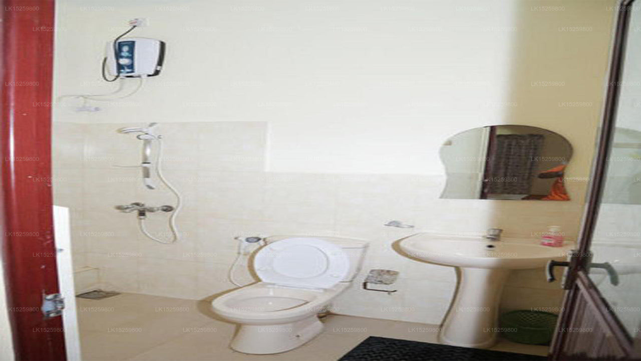 Deichruhe, Trincomalee 