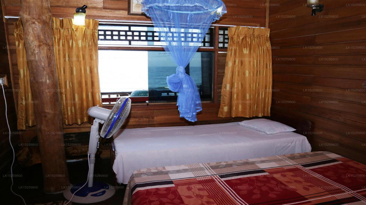 Deichruhe, Trincomalee 