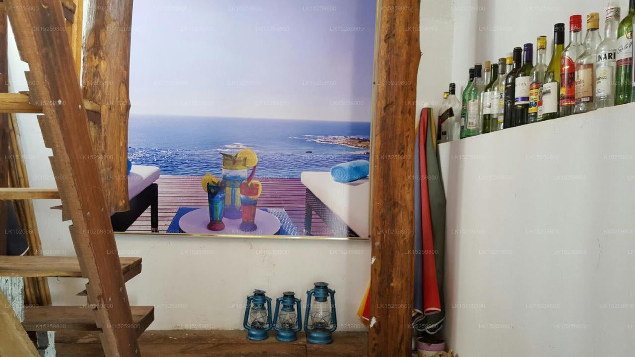 Deichruhe, Trincomalee 