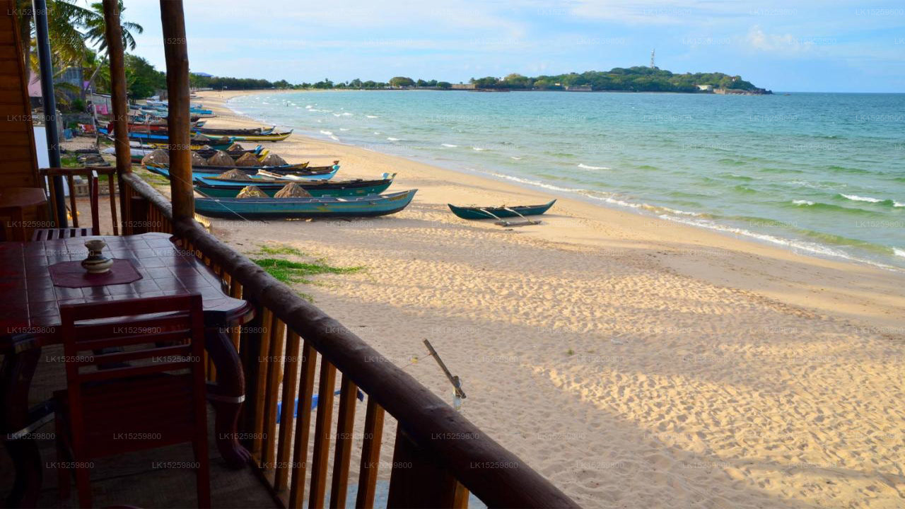 Deichruhe, Trincomalee 