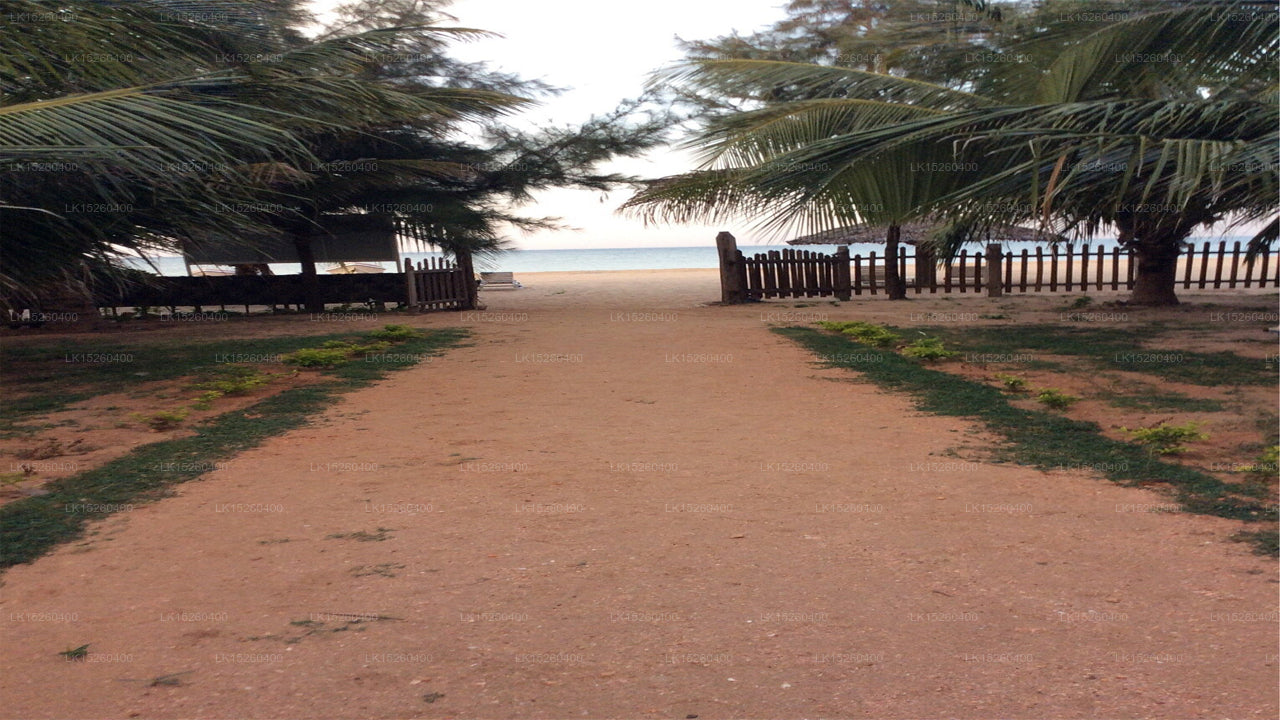 High Park Hotel, Nilaveli 