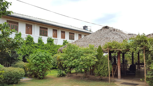Nilaveli Palmenhaus, Nilaveli