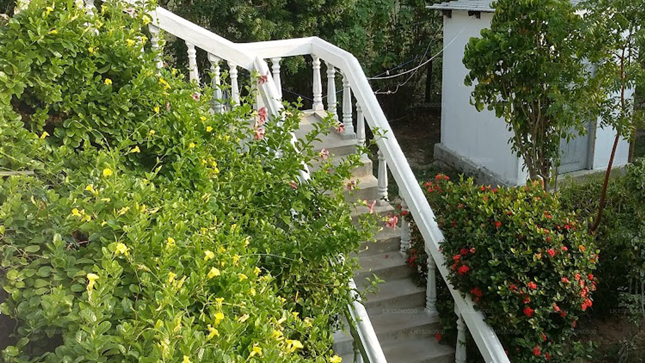 Nilaveli Palmenhaus, Nilaveli