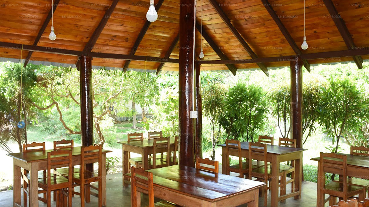 Nilaveli Palmenhaus, Nilaveli