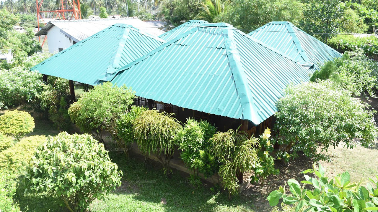 Nilaveli Palmenhaus, Nilaveli