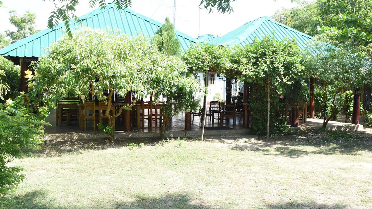 Nilaveli Palmenhaus, Nilaveli