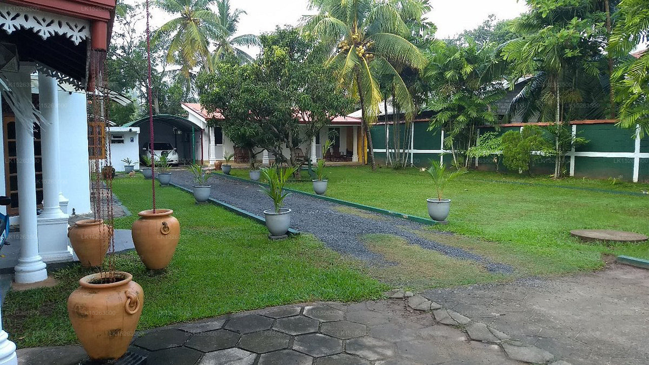 Negombo Village Gästehaus, Negombo