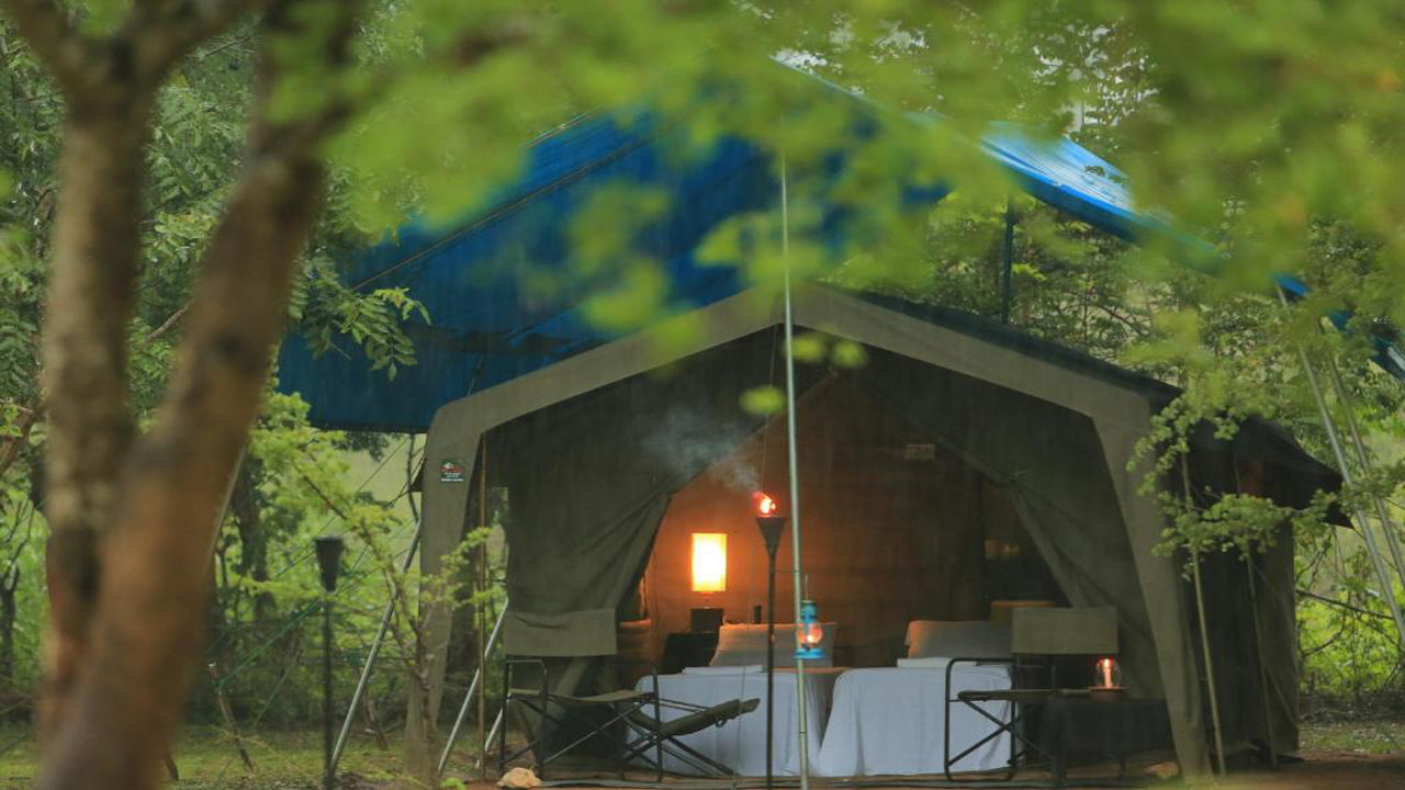 Großwildcamps und Lodges, Wilpattu 