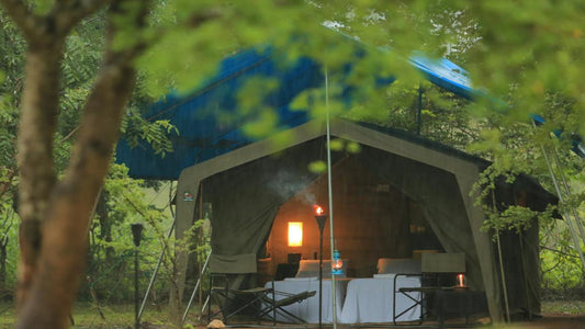 Großwildcamps und Lodges, Wilpattu 
