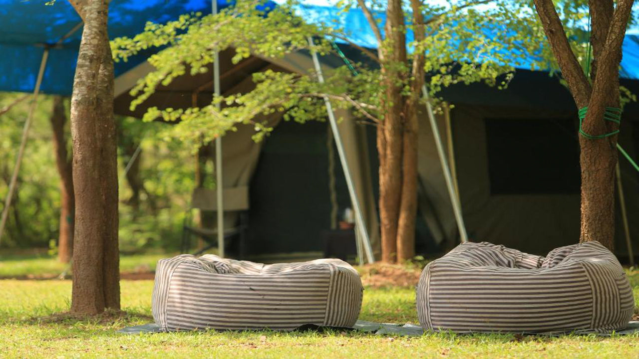 Großwildcamps und Lodges, Wilpattu 