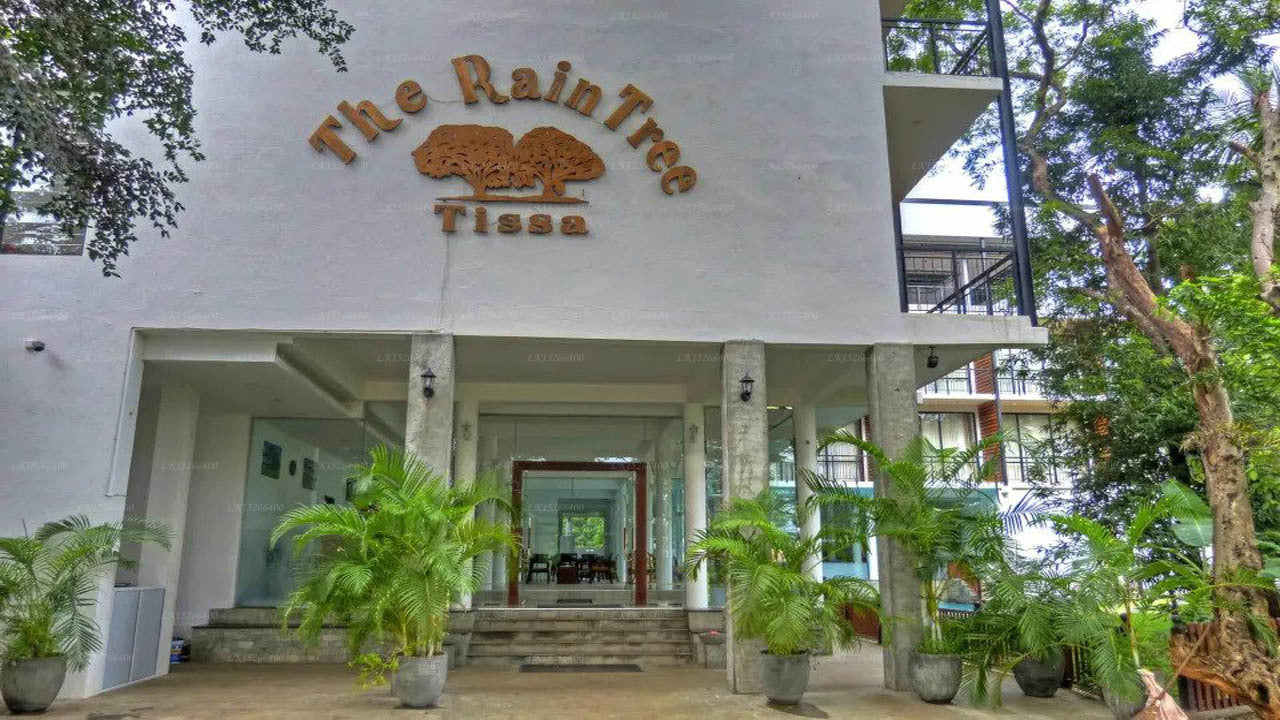 Der Regenbaum, Tissamaharama