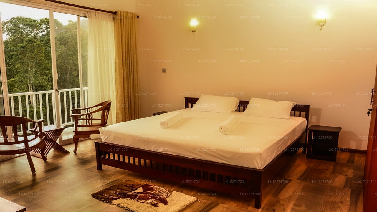 Bee View Home Stay, Kandy 