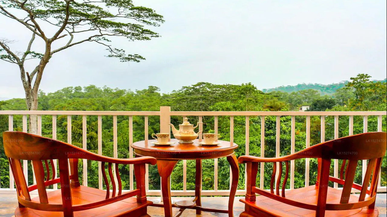 Bee View Home Stay, Kandy 