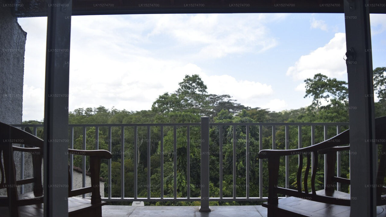 Bee View Home Stay, Kandy 