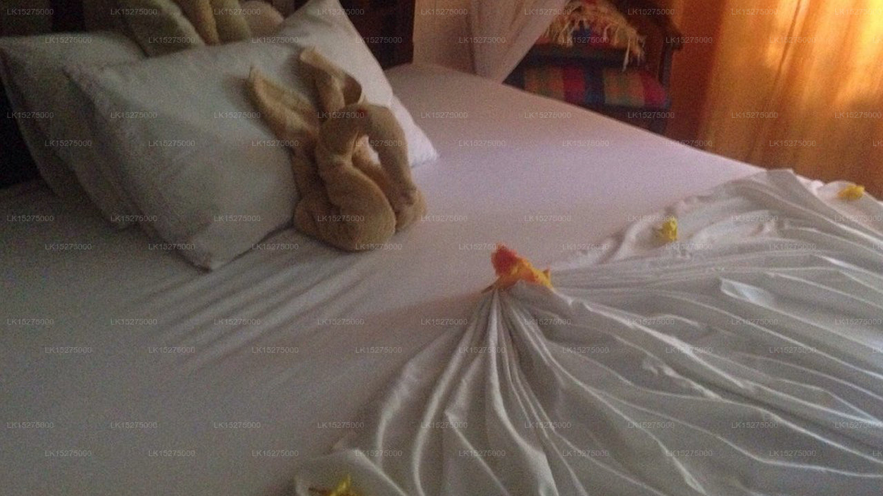 Kanalvilla, Bentota 