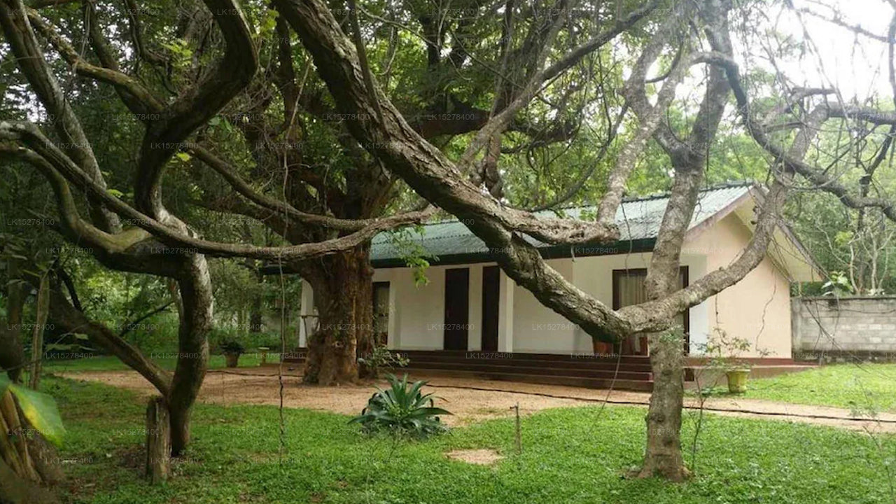 Achtes Wunder Resort 