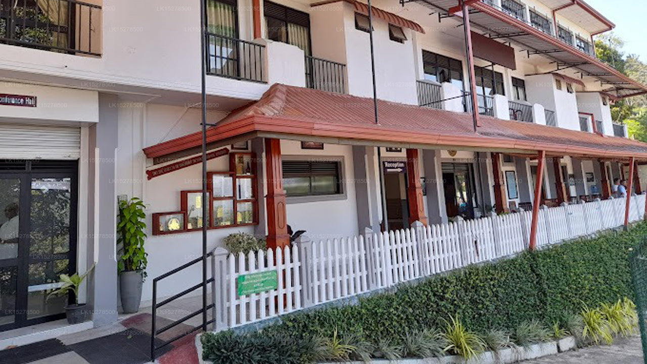 Bildungszentrum Satyodaya, Kandy 