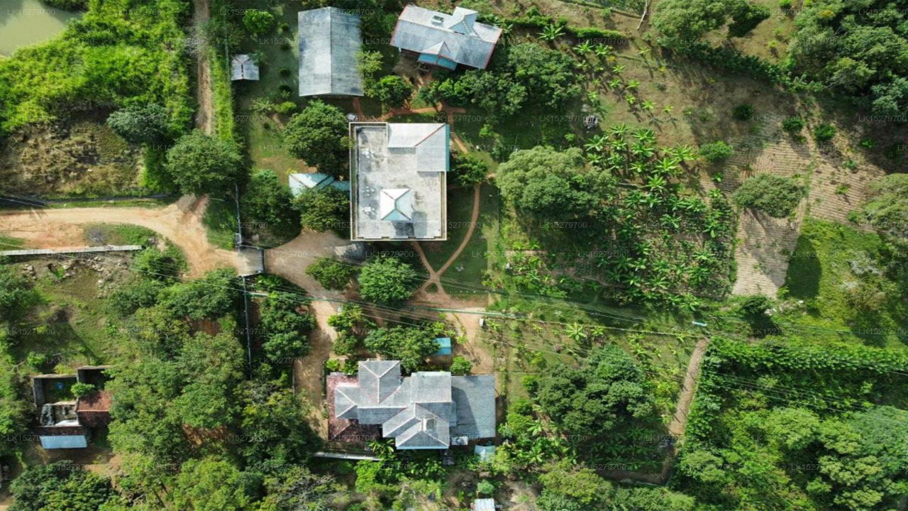 Green Hut Hotel und Restaurant, Sigiriya 