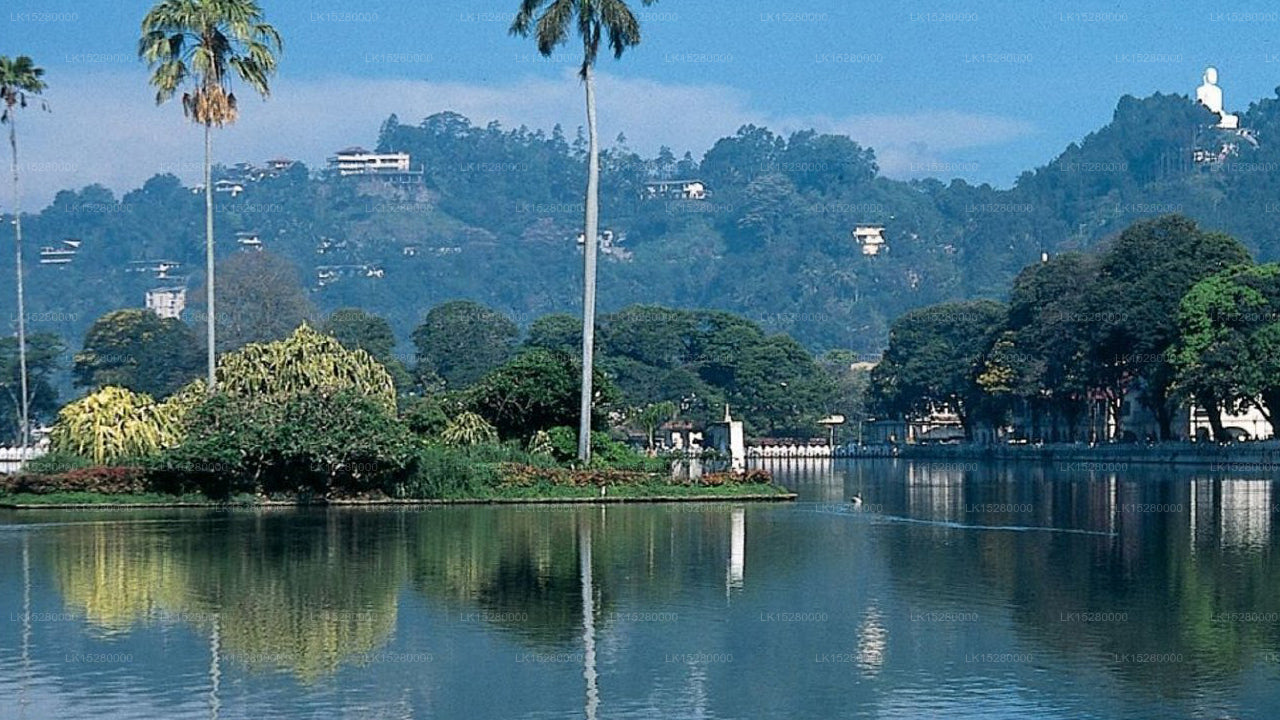 Hotel Bunk Planet, Kandy 