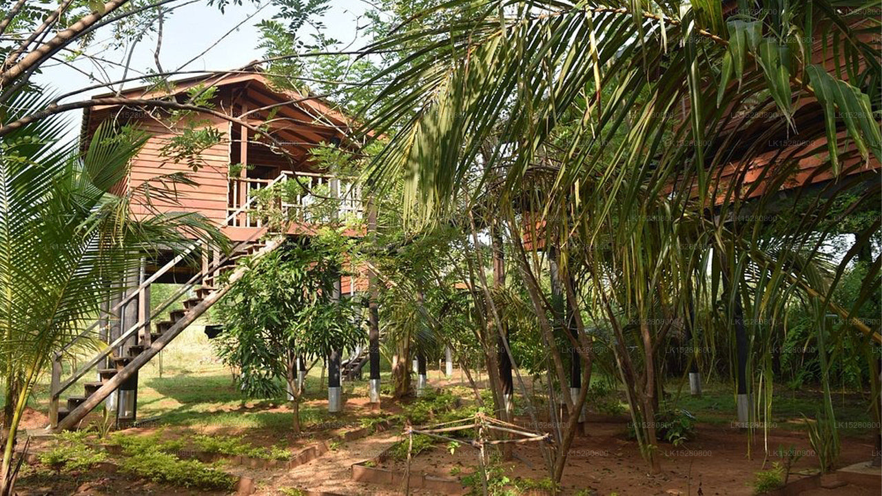 Sarilco Rock View Baumhaus, Sigiriya 