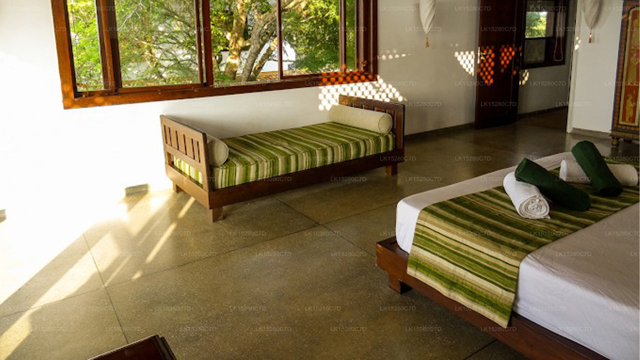 Kleine Tamarinde, Tangalla